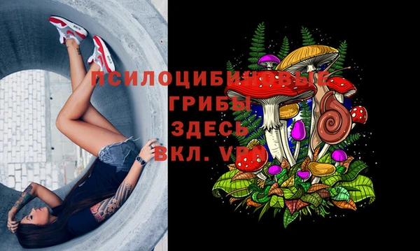спайс Нефтегорск