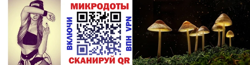 Псилоцибиновые грибы Magic Shrooms  что такое наркотик  Новотитаровская 